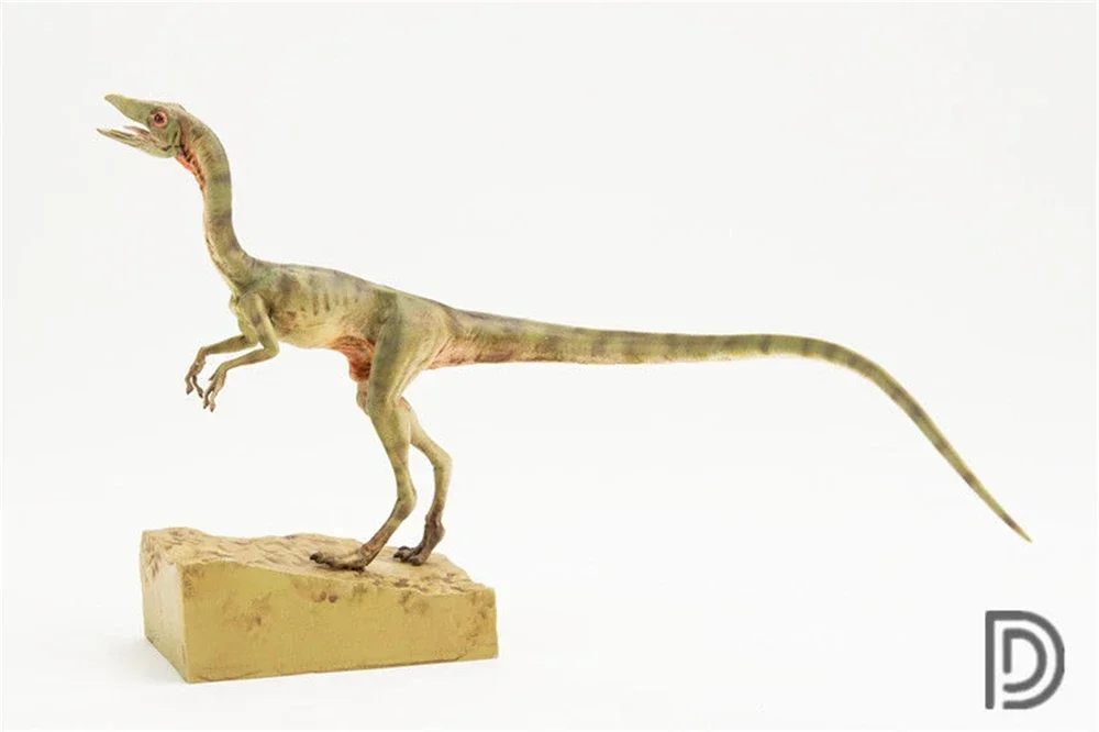 Фото DINO DREAM 1:5 Женский Compsognathus Coelophysidae Коллекция моделей динозавров Животное Взрослый подарок Украшение сцены №3
