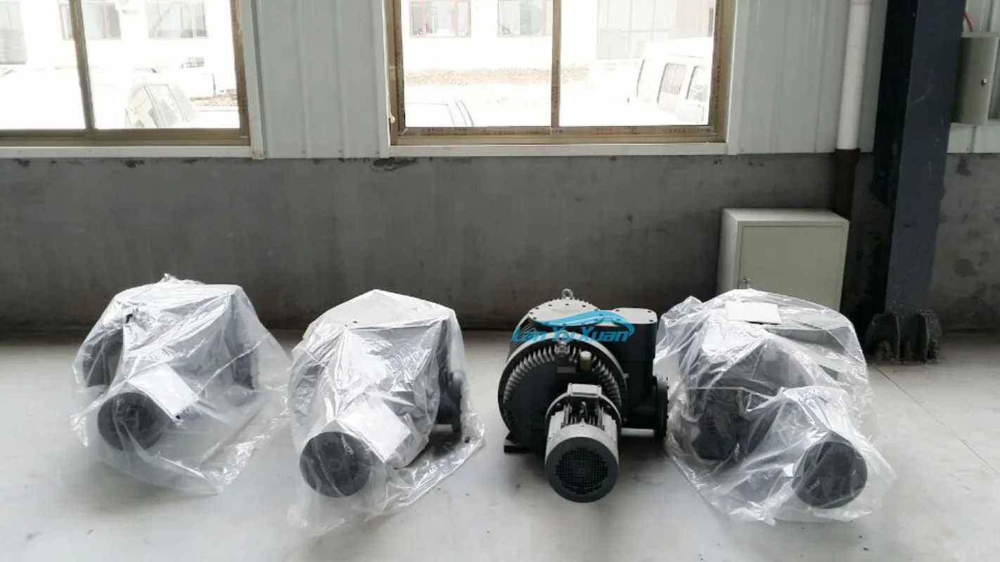 Рисунок 3 - RTO корневой вакуумный насос для