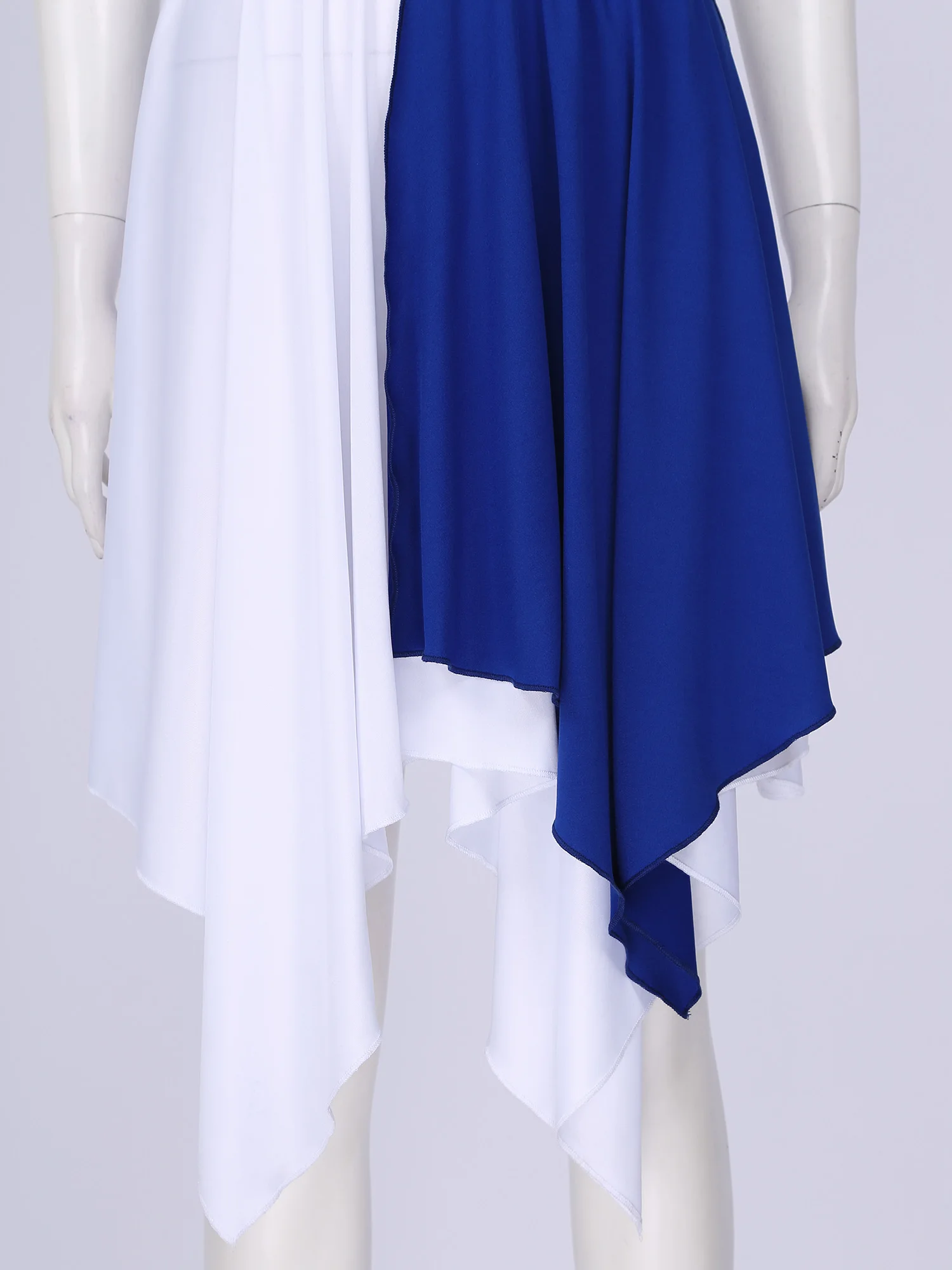 Adult Women Ballet Dress Sleeveless Modern Ballroom Contemporary Lyrical Dance Costumes Woman Ice Roller Figure Skating Dress