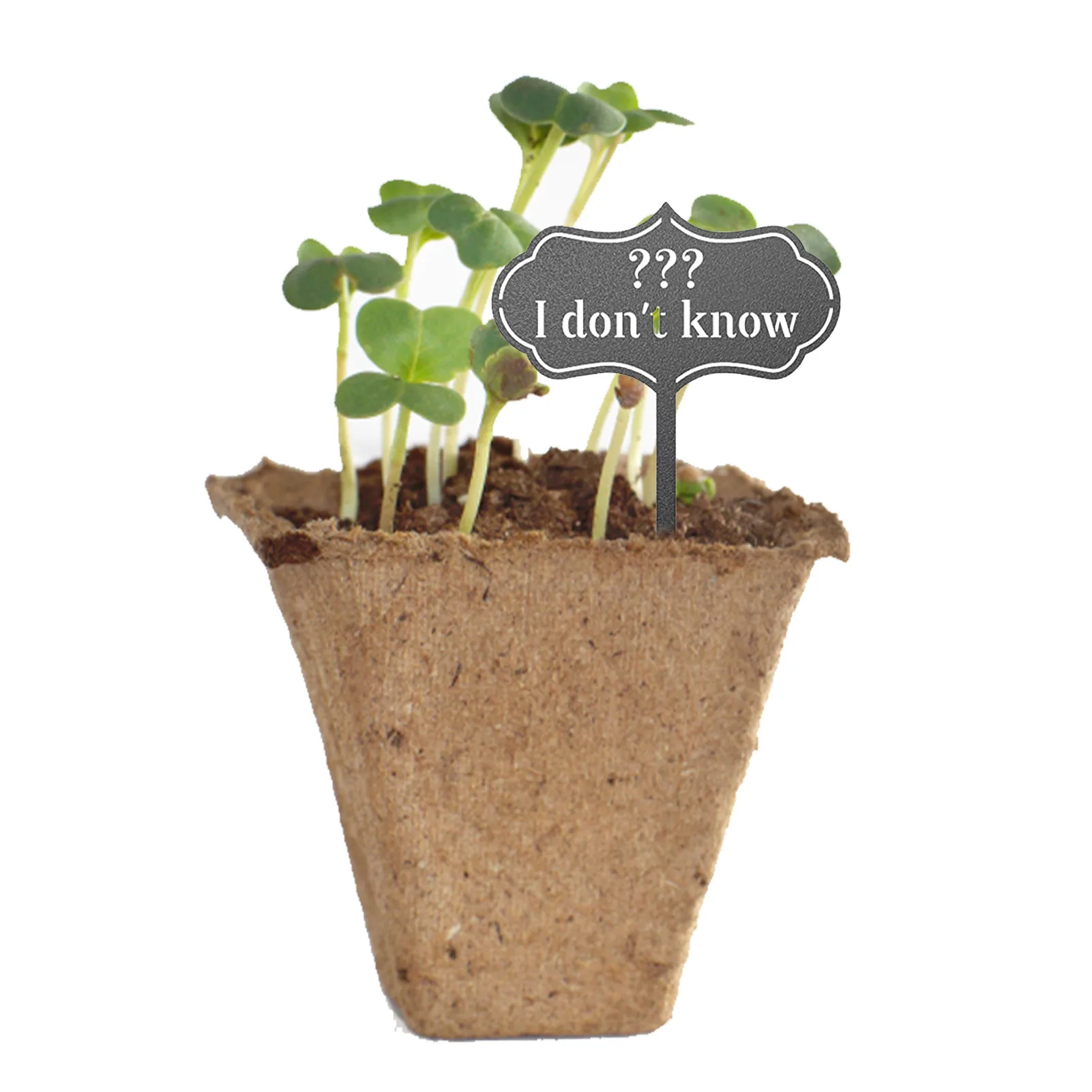 

Seed And Plant Tags T-Type Plant Labels Hang Tags For Garden Markers Waterproof Garden Markers For Seed Potted Herbs Flowers