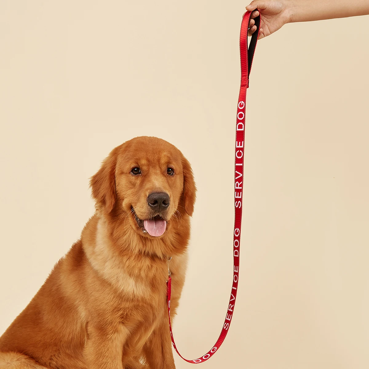 

Service Dog Leash / Emotional Support Animal Dog Lead with Neoprene Handle, Embroidery Letter Reflective Dog Lead ,1in 4ft