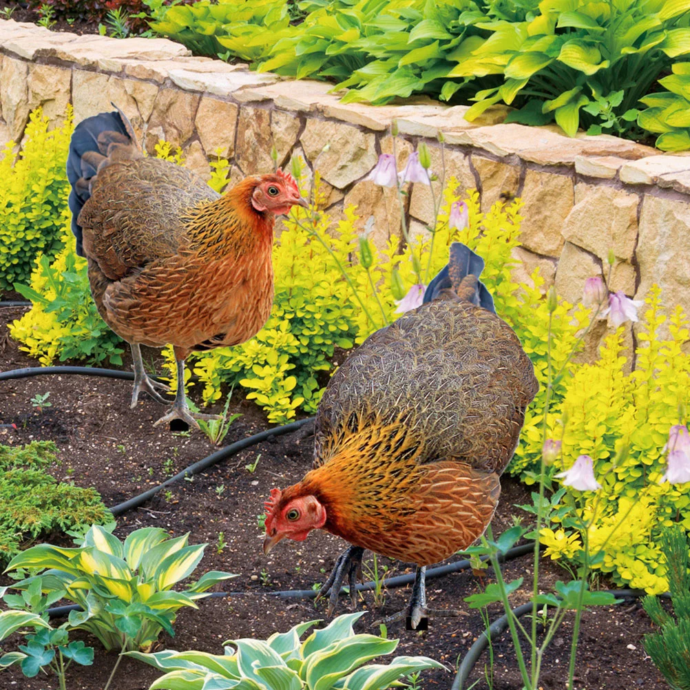 

2pcs Decorative Premium Creative Garden Chicken Stake Lawn Decoration Stakes Garden Animal Stake Chicken Decor for Garden