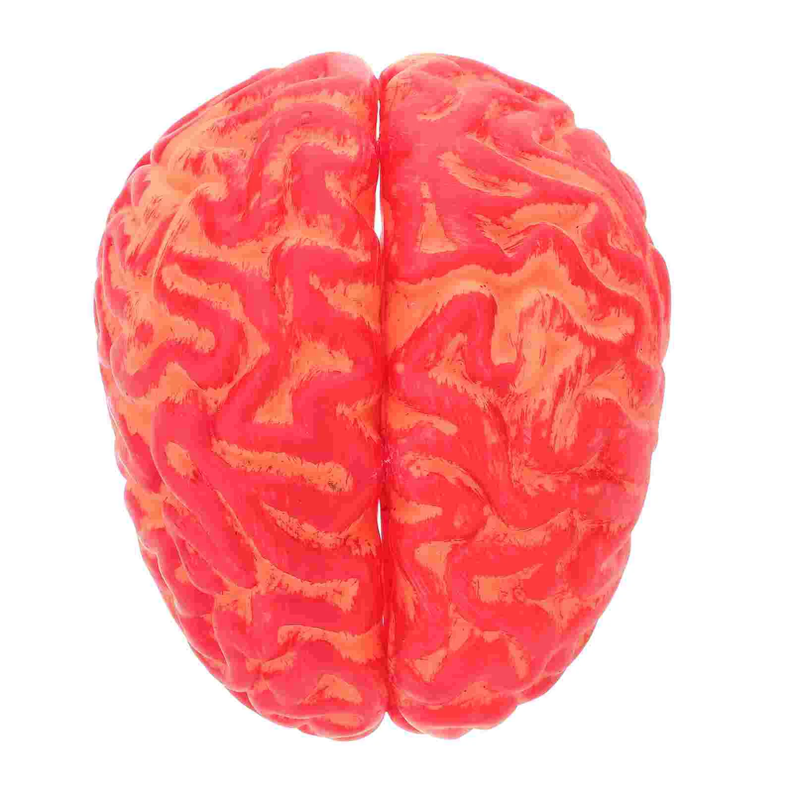 

Brain Bloodhalloween Simulation Prank Prop Artificialparts Body Fake Scary Trickvinyl Mold Decor Games Hat Jar Brains Candy