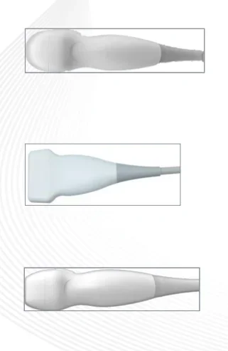 Рисунок 2 - Ветеринарное оборудование для ультразвукового