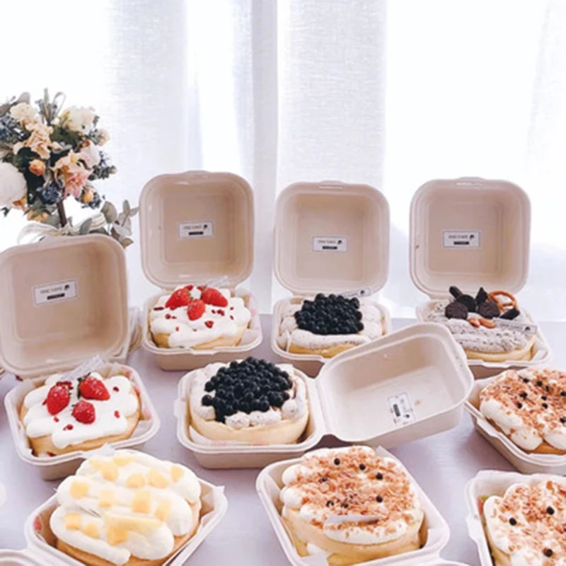 20pcs Disposable Bento Food Containers Baking Dessert Cake Bowl Packaging Burger Snack Boxes Microwavable Home  Lunchbox