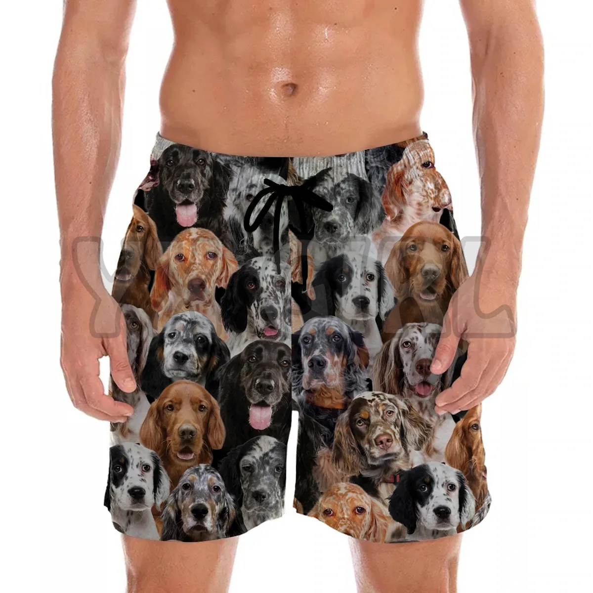 You get a lot of English setters shorts 3D All Over Printed Men's Shorts Quick Drying Beach Shorts Summer Beach Swim Trunks