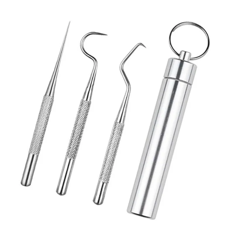 

Sdotter 3pcs Toothpick Set Metal Stainless Steel Oral Cleaning Tooth Flossing Portable Toothpick Floss Teeth Cleaner with Storag