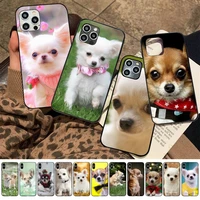 maiyaca cute pet chihuahua dog phone case for iphone 11 12 13 mini pro xs max 8 7 6 6s plus x 5s se 2020 xr case