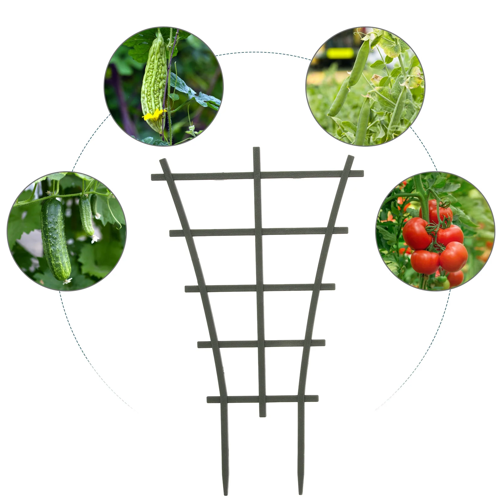 3шт. Т-образная подставка для цветов домашних растений. Перлитовая стойка