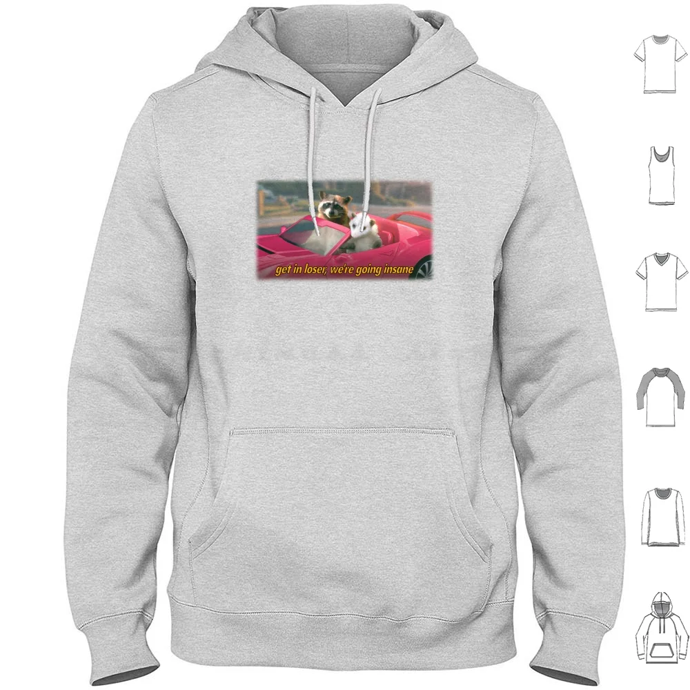 

Войдите в неудачу, мы делаем Сумасшедший енот плазум, художественное литературное художественное