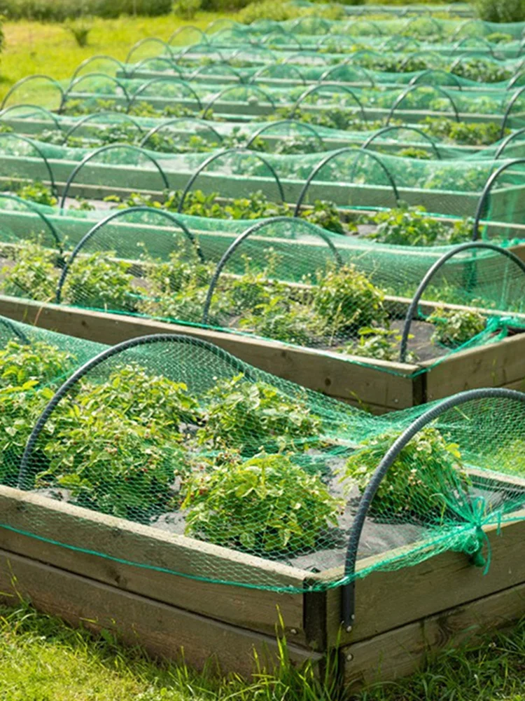 

13X32.8ft Garden Plants Climbing Net Polyethylene Green Net Agricultural Protection Network Tear-Proof Plant Anti-Bird Net