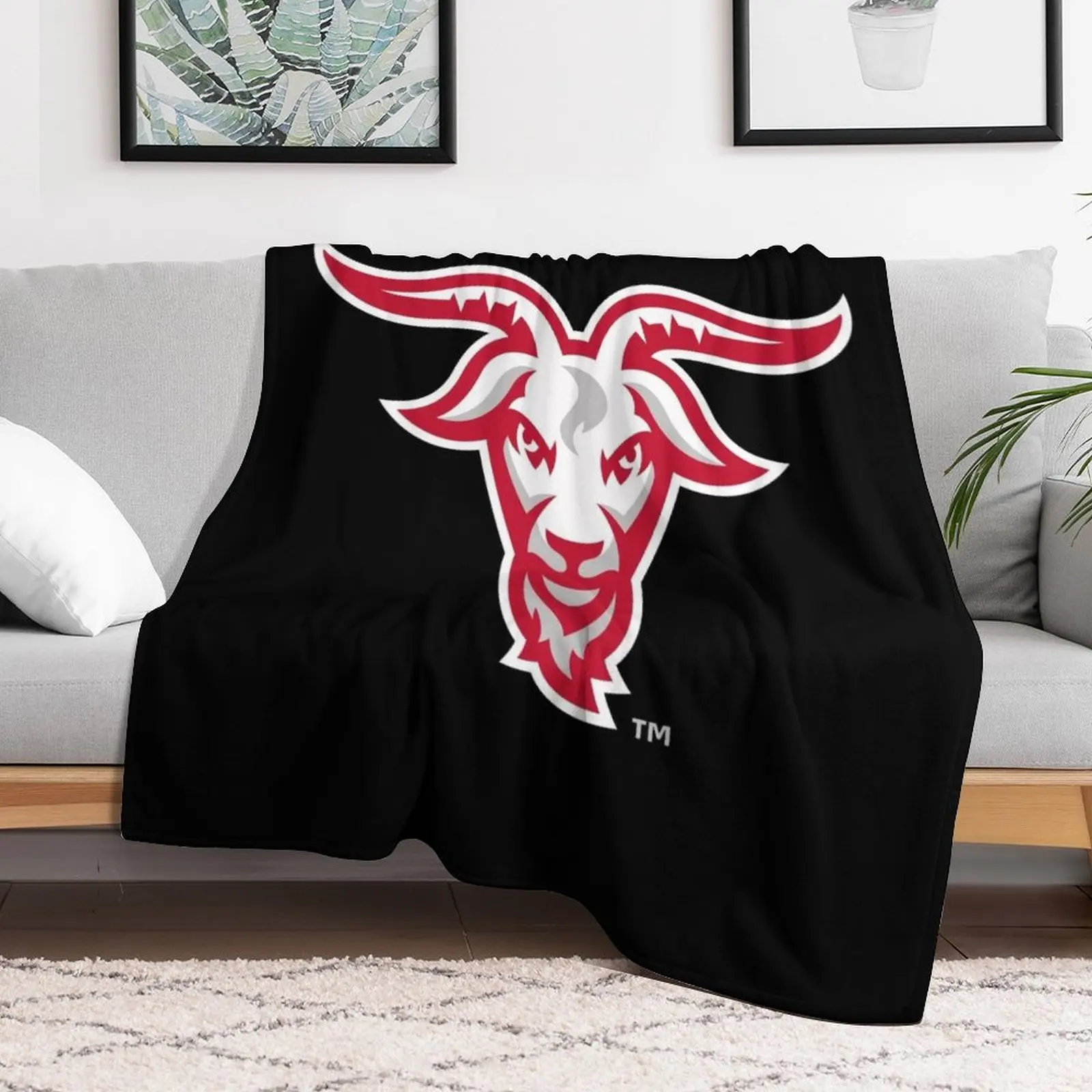 Wpi Инженеры Worcester пледы одеяла для детских меховых одеял