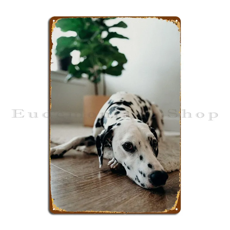 

Dalmatian A Spotty Friend Metal Plaque Bar Club Kitchen Print Wall Mural Tin Sign Poster