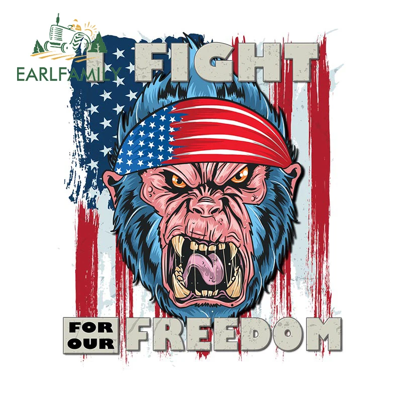 

EARLFAMILY 13 см x 10,8 см я сражаюсь за нашу свободу, виниловый американский флаг, искусственная кожа, мультяшный Стайлинг автомобиля