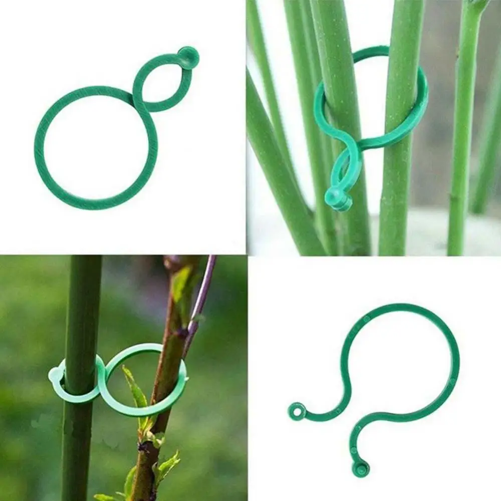 

50pcs Plastic Vine Strapping Clips for Growing Upright Plant Holder Bundled Ring Garden Stand Tool Branches Growing Support