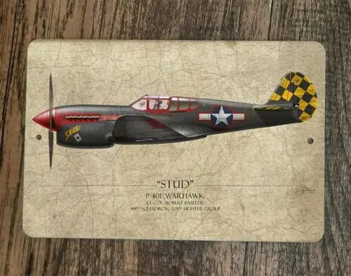 Металлическая настенная табличка-постер Stud P-40E Warhawk Military Jet Plane 8x12 (art.: 3920dabe9eeb2) - 3920dabe9eeb2