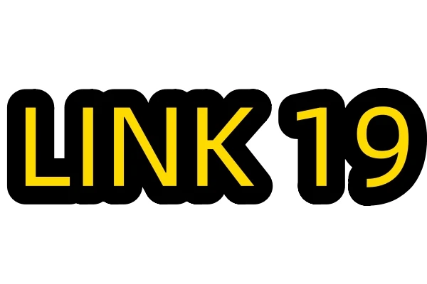 

Платье бренда ZM на заказ по ссылке 19