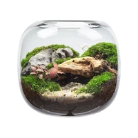 elk forest creative desktop micro landscape finished bonsai lazy easy to keep fresh green plant glass flower container potted