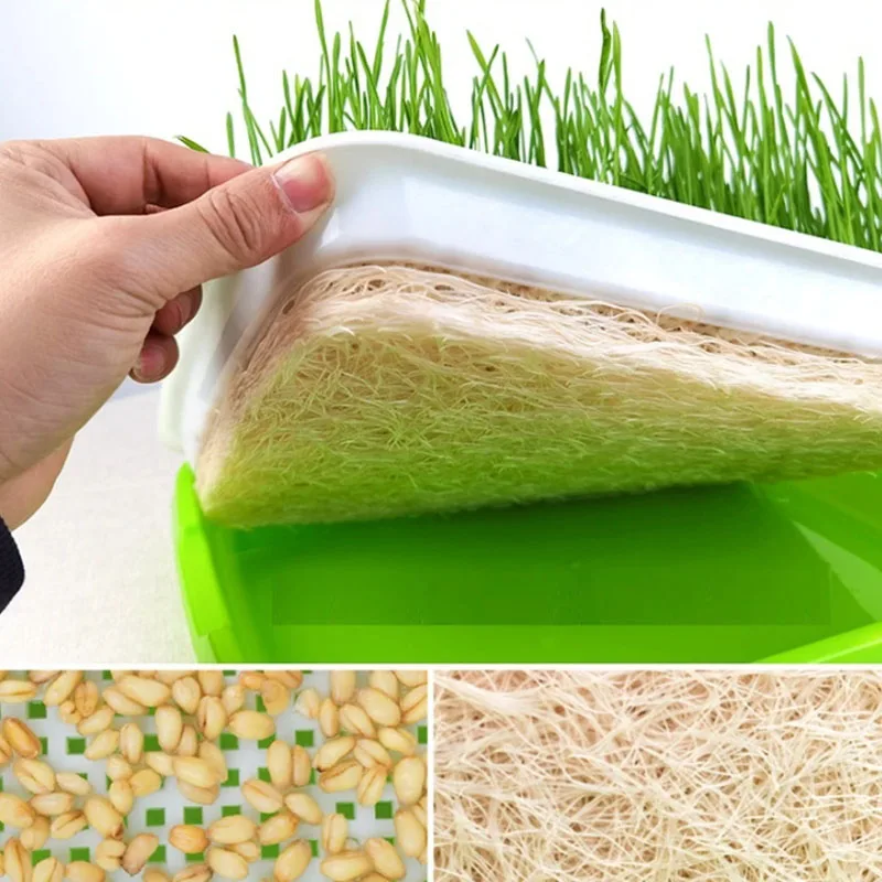 Лоток для выращивания растений Microgreens лоток и гидропонных систем