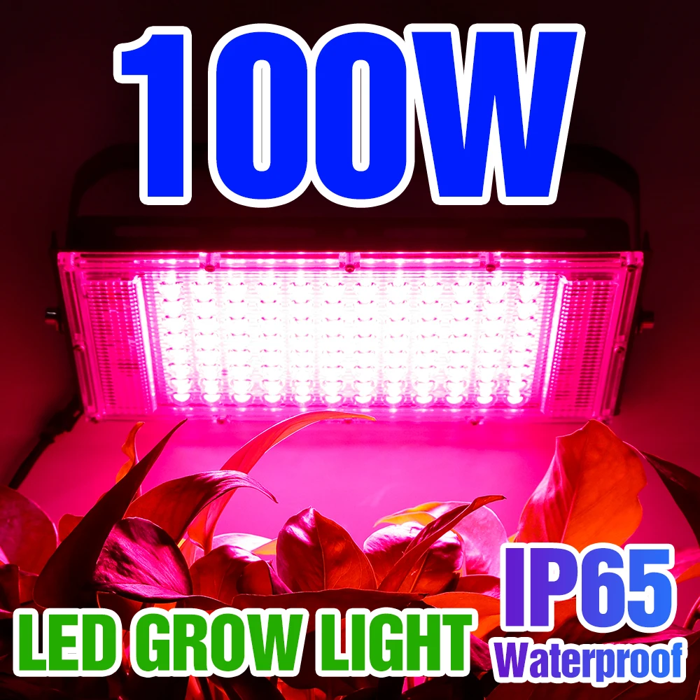 LED Grow Light Phytolamps Plant Floodlight 220V Full Spectrum Hydroponic Lamp Veg Flowering Growth Lamp Greenhouse Grow Tent Box