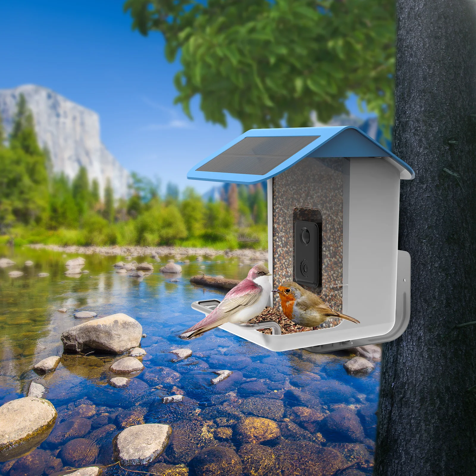 

Intelligent bird feeder AI bird recognition APP solar panel 2.5L