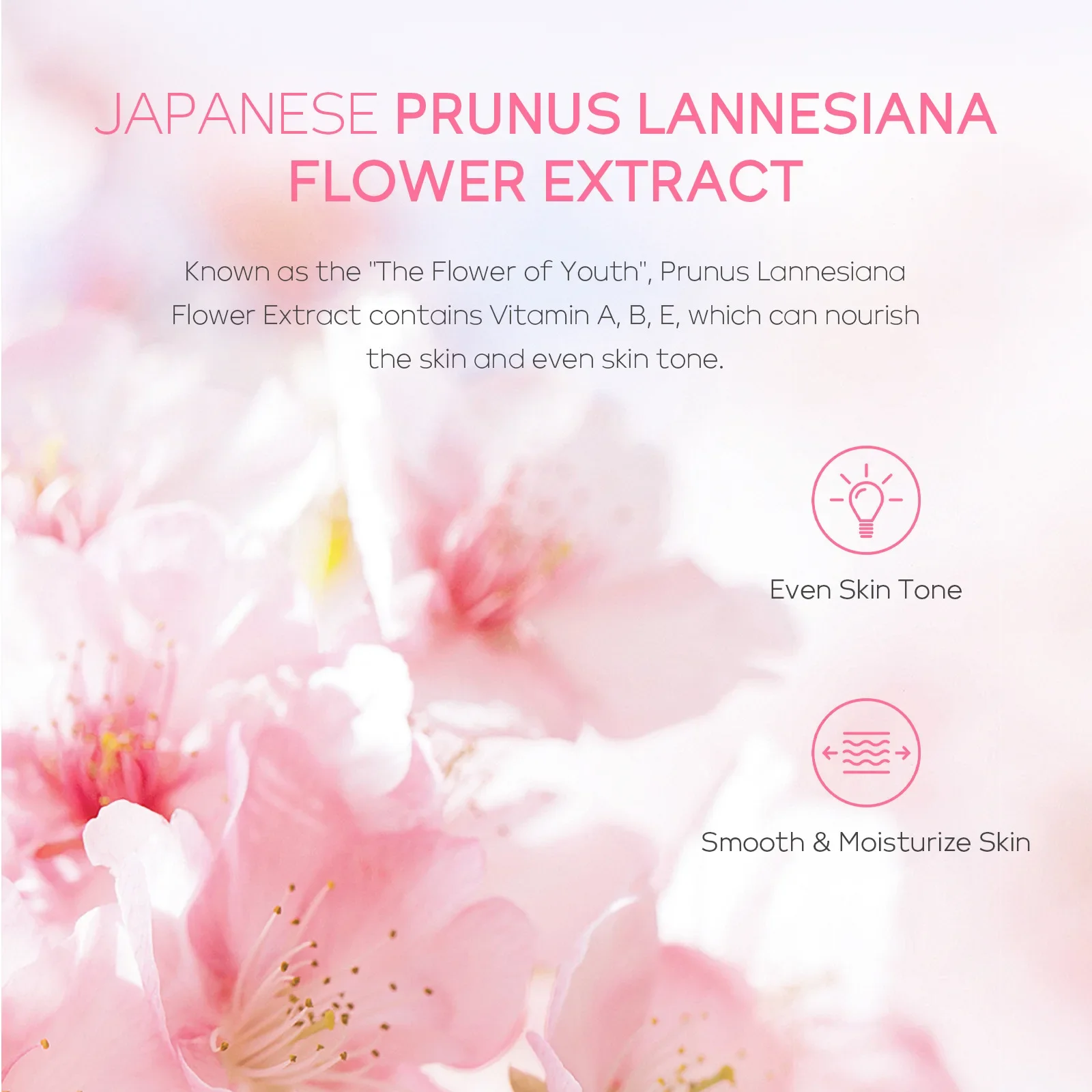 LAIKOU 5 шт. Наборы для ухода за кожей Сакура Очищающее средство лица Увлажняющие