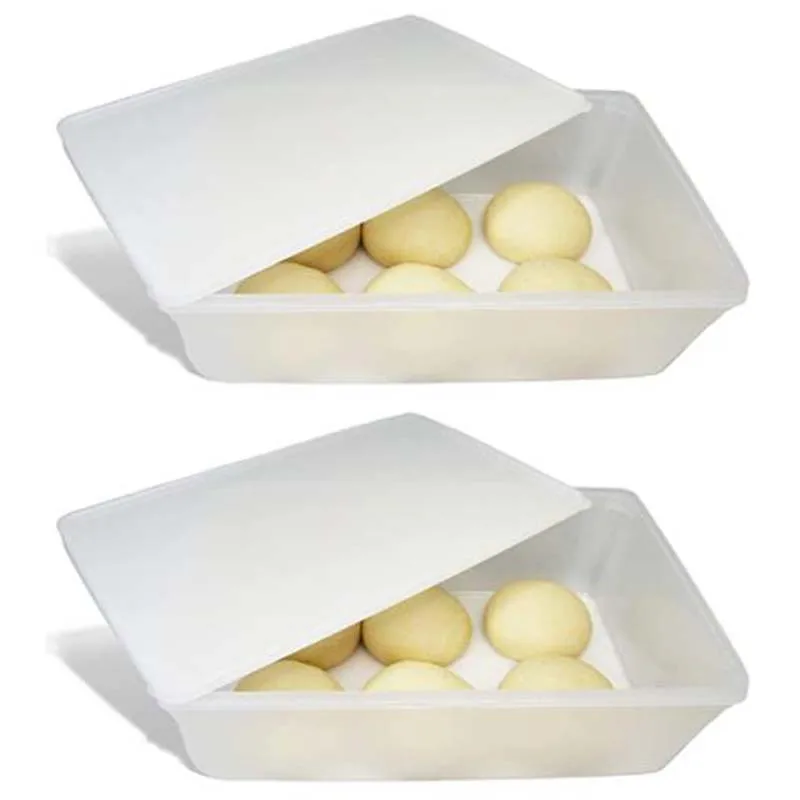 2 Pack Produce Saver Containers for Refrigerator, Pizza Dough Proofing Box,Vegetable Storage Containers for Refrigerator