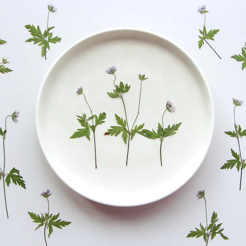 120 шт. искусственная Герань для dii стебель цветок гербарий смола карта закладки