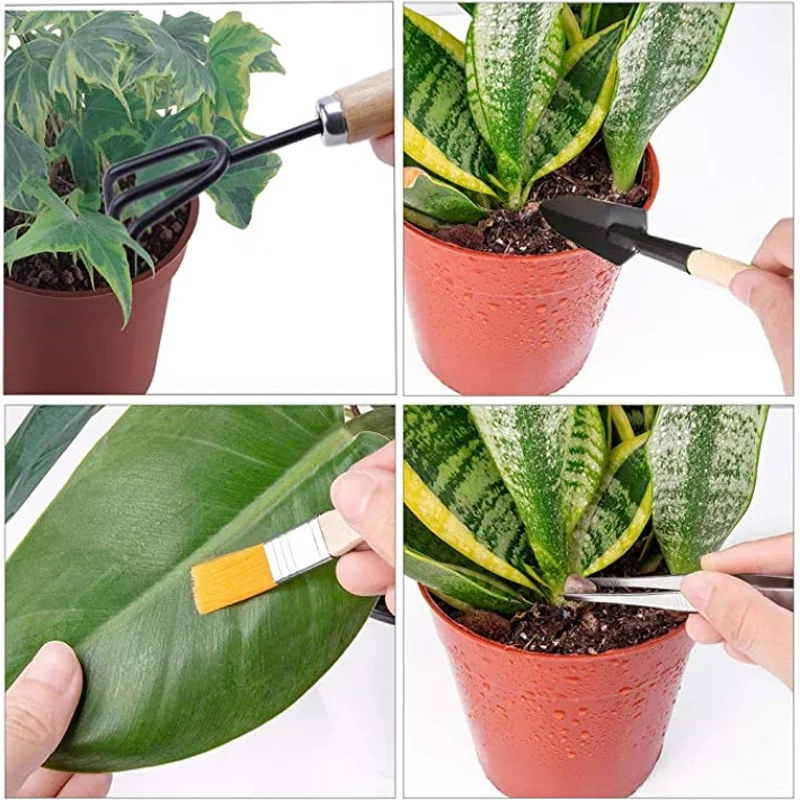 

Garden Mini Cultivating Transplanting Kit Plants Seedling Succulent Transplanter Shovel Rake Spade Drilling Fertilize Tools