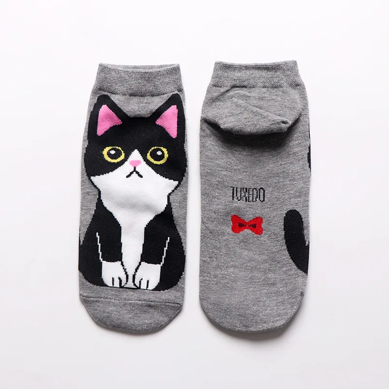 Cute Harajuku Women's Socks Set Cartoon Print Animal Panda Cat Pattern Meias Lolita Cotton Socks For Girls Autumn Sokken images - 6