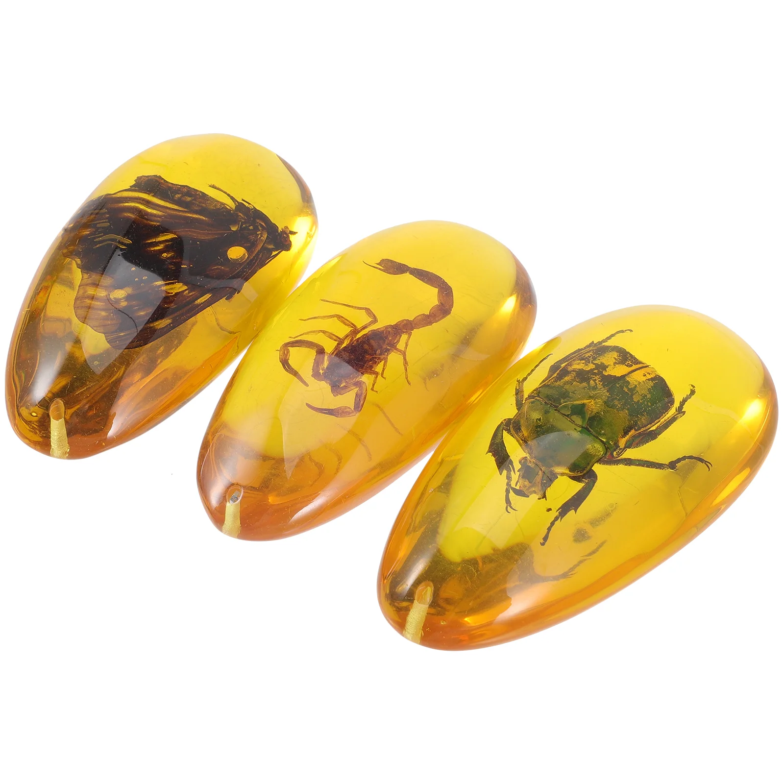 

Amber Resin Stone Pendant Specimens Specimen Natural Pendants Collection Crystal Necklace Ornament Kids Toys