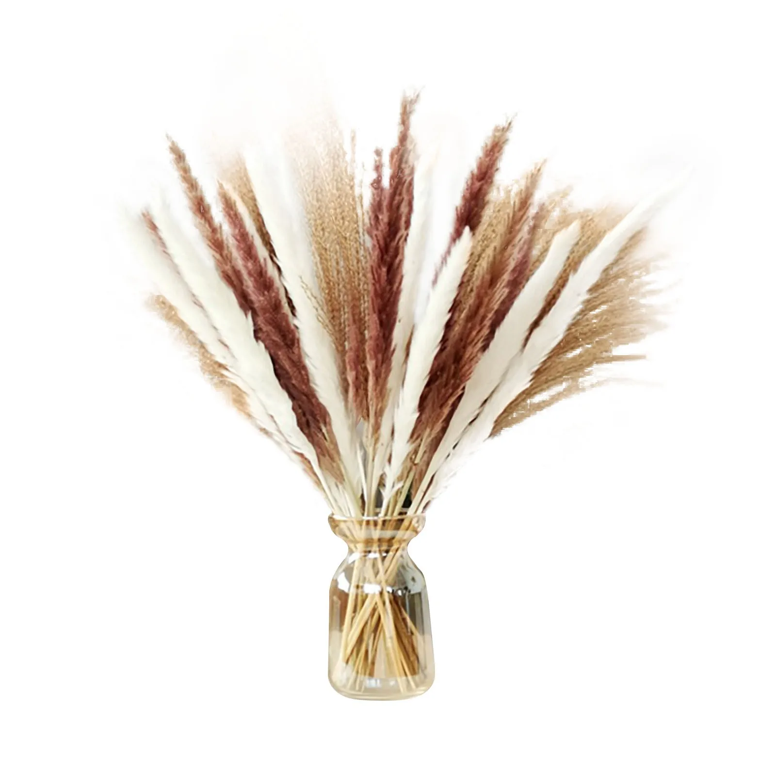 

Grass 30pcs 45cm Grass Fluffy Exaggerated Grass Flower Arrangement Dry Flower Grass Dry Plant Home Wedding Decor Beige