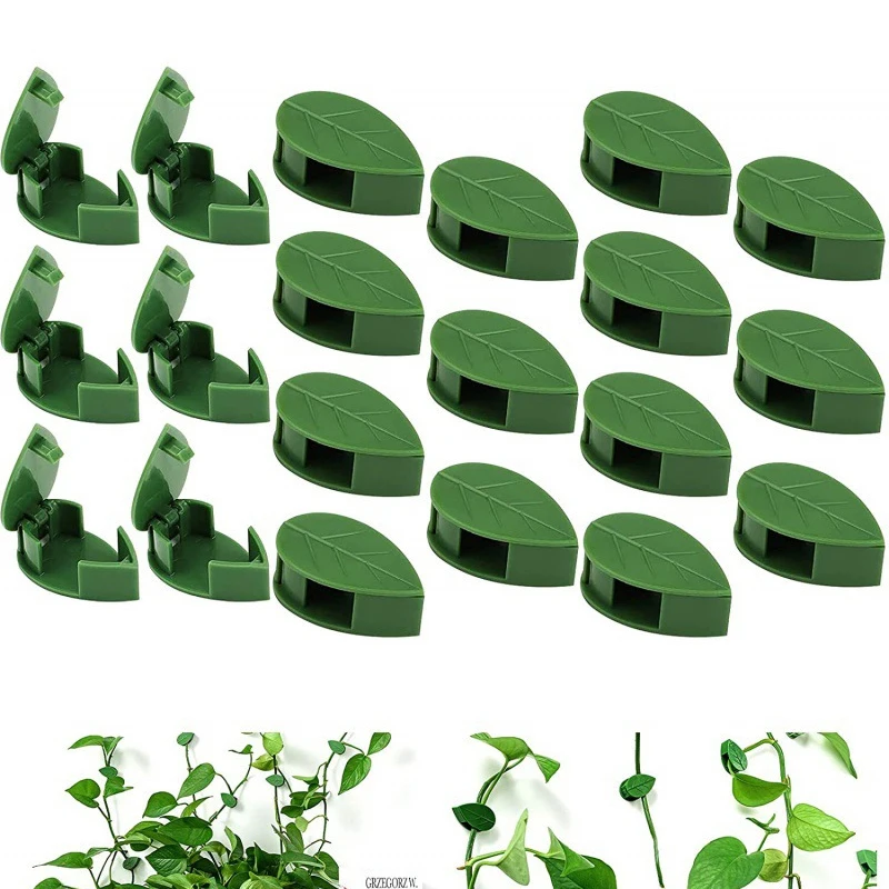 

10/20/50 шт. Невидимый кронштейн для альпинизма растений, зажим для зеленых листьев, фиксированная Пряжка для сада, растений, альпинизма, Настен...
