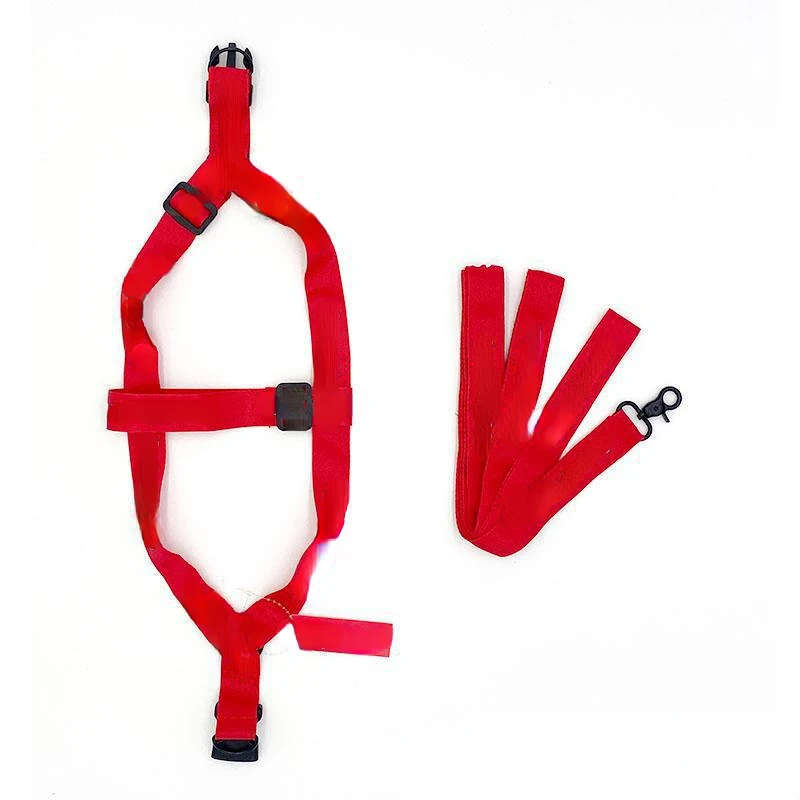 

Designer Dog Harness Set, Luxury Pet Accessories, Nylon Sturdy, with Letter Collar Harness, Universal for Large and Small Dogs
