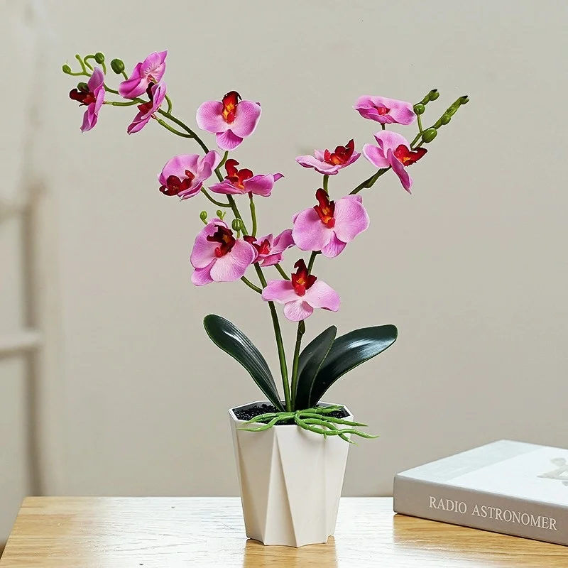 

ArtificialFlower 2 Fork Phalaenopsis Potted Plant Living Room TV CabinetDecorations CreativeMinimalistMiniBonsai Home Decoration