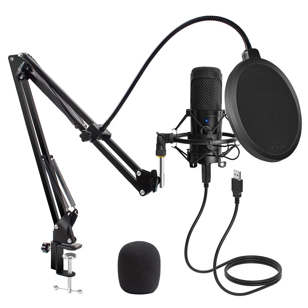 

USB Microphone Condenser D80 Recording Microphone with Stand and Ring Light for PC Karaoke Streaming Podcasting Hot Sale