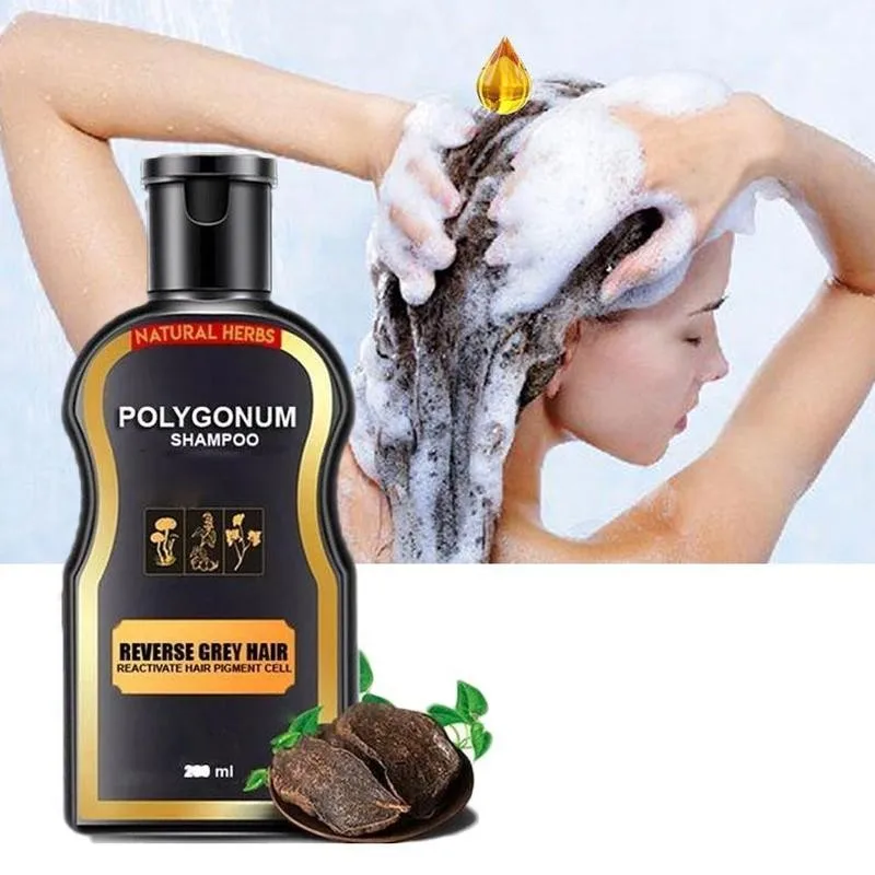 Natural Polygonum multiflorum shampoo black hair care shampoo natural hair color shampoo