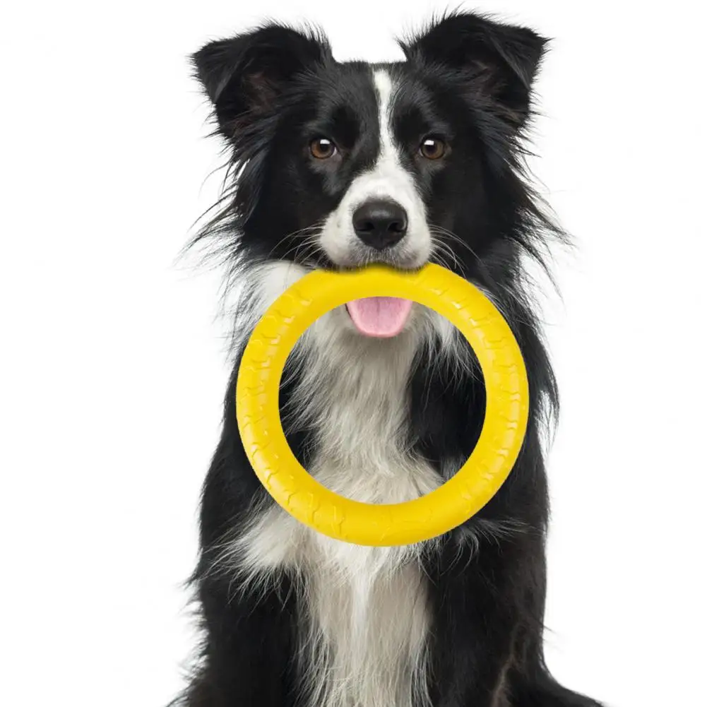 

Dog Training Ring Good 4 Colors No Odor Pet Dog Fitness Flying Discs Dog Supplies Pet Flying Ring Pet Flying Discs