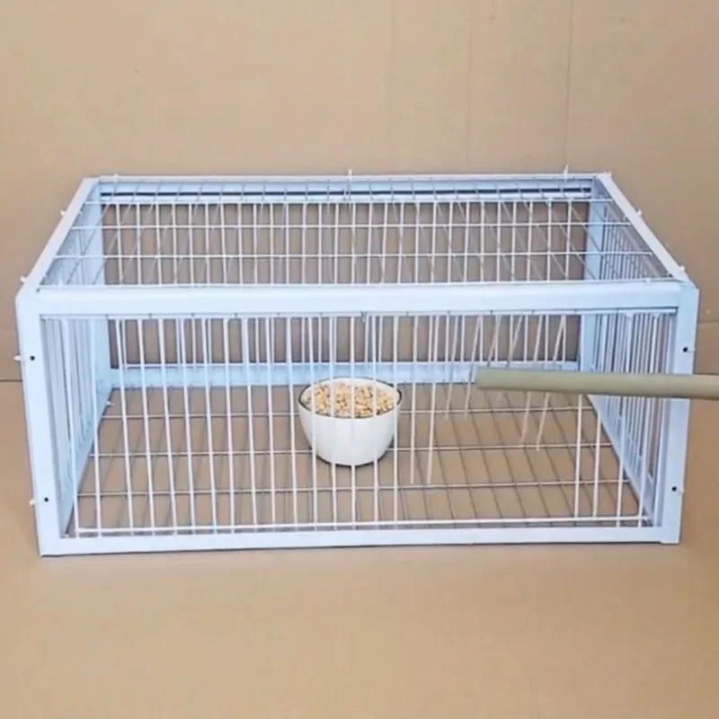 

Mid Foldable Galvanised Pigeon Bird Trap Cage Feral Pigeon humane way with the one-way entrance Trapping Pigeons doves In Cages