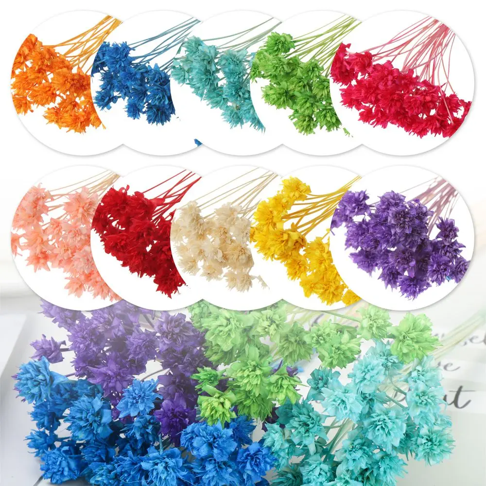 

30pcs Decorative Dried Flowers Mini Small Flowers Bouquet Natural Plants Preserve Floral for Wedding Home Decoration