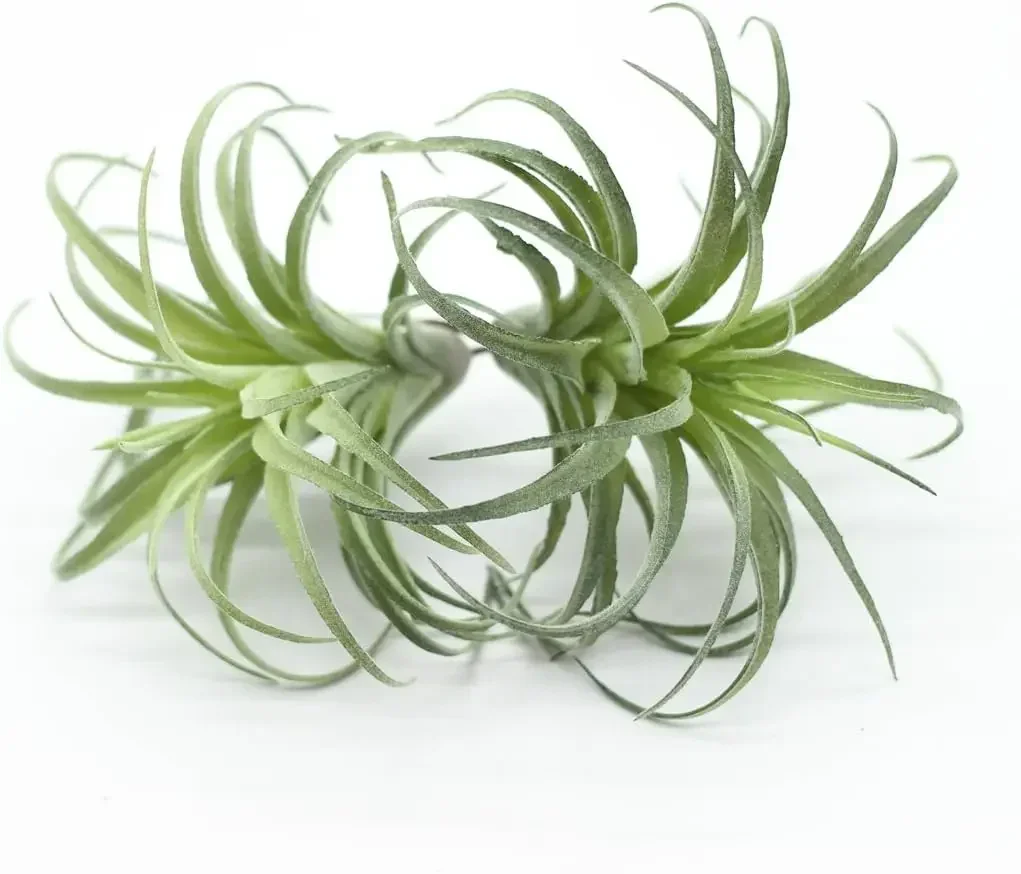 

2 штуки искусственные воздушные растения Tillandsia
