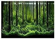 

PVC Fish Tank Background Adhesive Underwater Forest Tank Background Poster Backdrop Decoration Paper