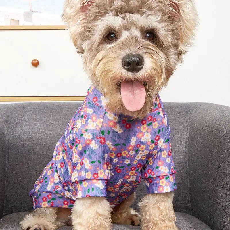 

Spring Summer Dog T-shirt Breathable Pullover Thin Vest For Small Dogs Poodle Corgi Chihuahua Pet Apparel Polyester Sweatshirt