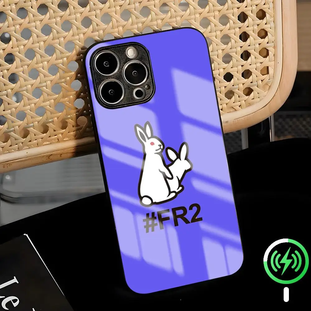 Фото Горячая новинка: Стеклянный магнитный чехол F-Fxxking R-Rab-bits LOOG для iPhone 17 Air, 16, 15, 14, 13, 12, 11 Plus, Mini, Pro, Max №1