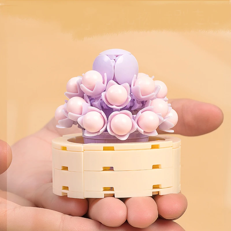 Звездный цветок строительные блоки суккуленты растения в горшке милые комнатные