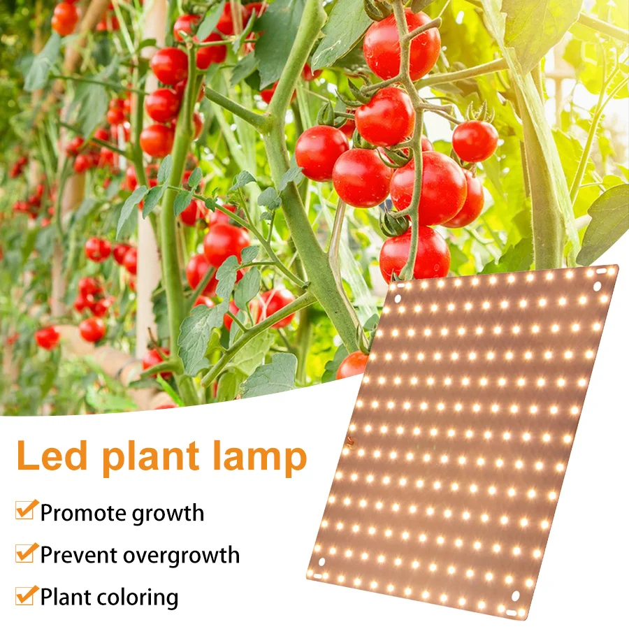 LED Grow Light Full Spectrum Powerful Phyto Lamp Plant Seeds Lamp Plant Growing Light For Indoor Seeds Flowers Vegetables