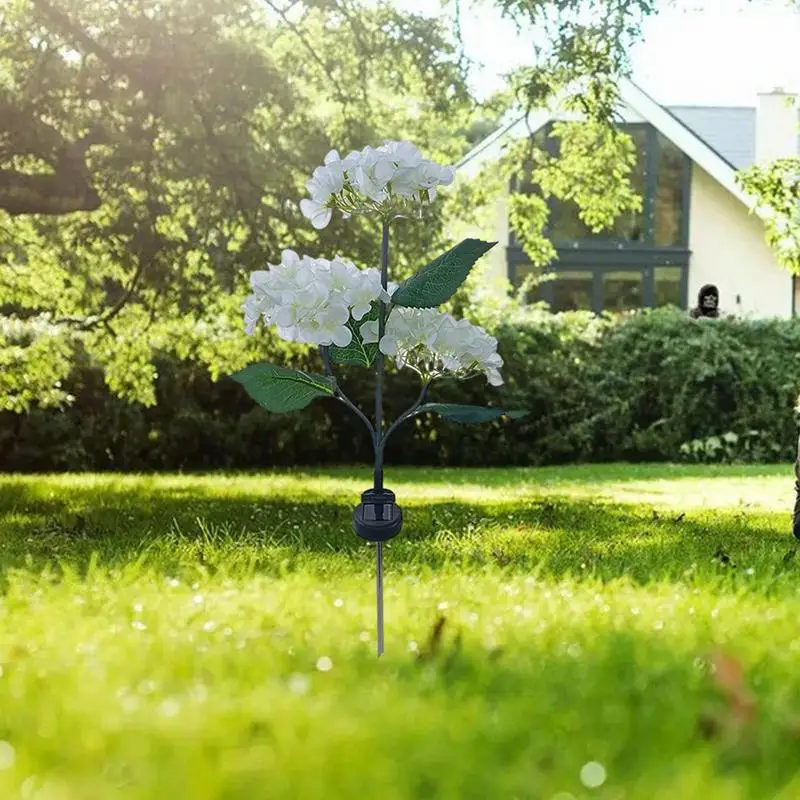 Рисунок 3 - Цветы, яркие декоративные солнечные цветы