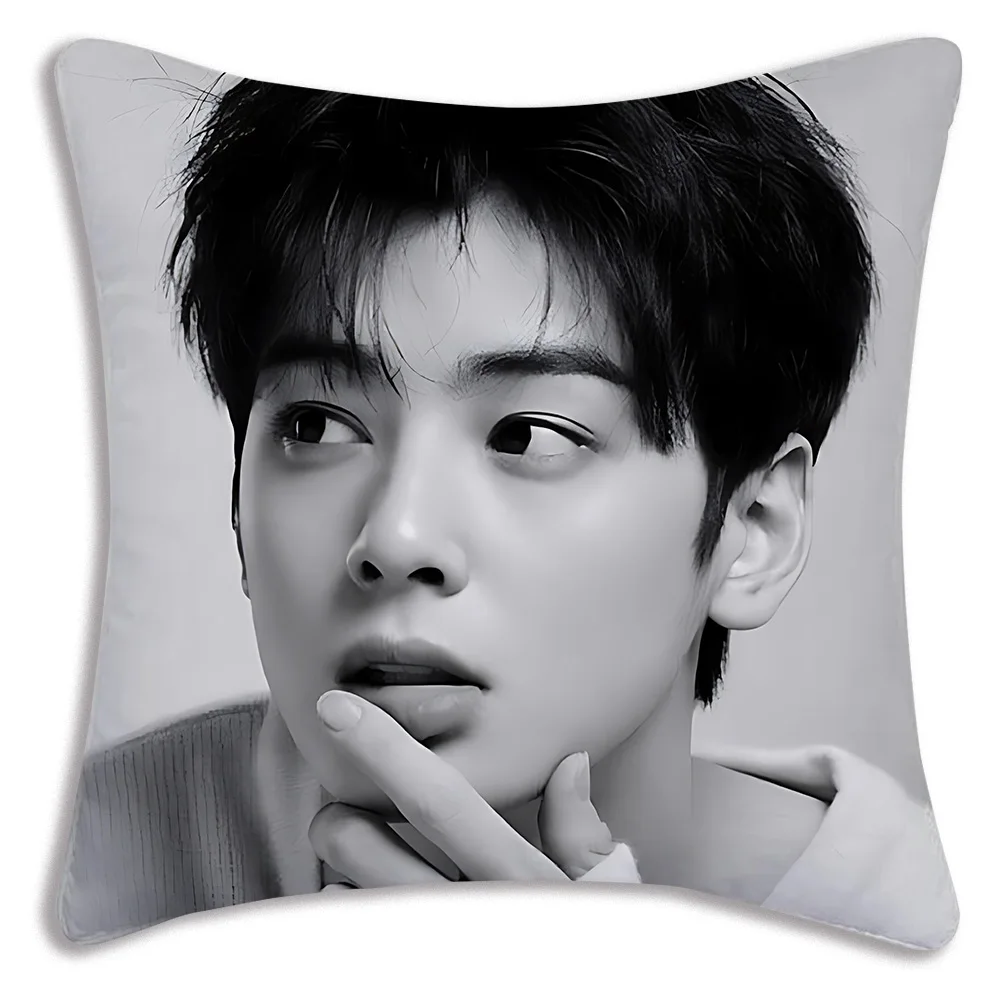 Наволочки для подушек Kpop Singer Cha E-Eun W-Woo мультяшный декоративный домашний