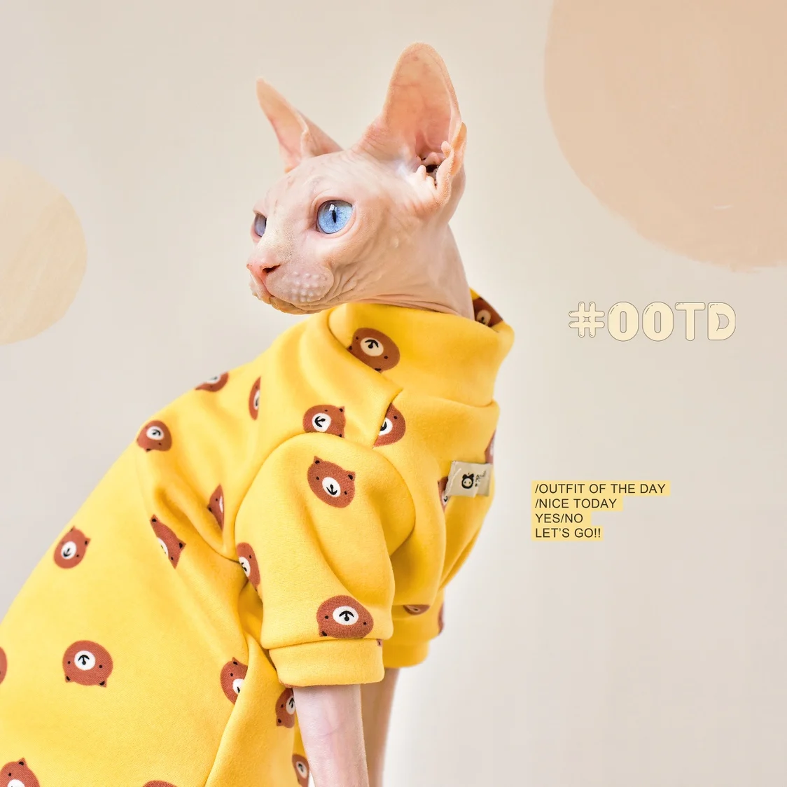 

Devon Rex Conis Cat Sweater Velvet Sphinx Kitten Outfits Thick Warm Sphynx Cat Clothes for Hairless Cat Jumper Cat Clothes Pet