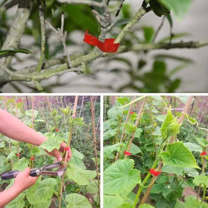 10000 контактный степлер связывающий стебель для ногтей инструмент подключения